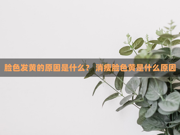 脸色发黄的原因是什么？ 消瘦脸色黄是什么原因