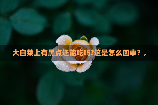 大白菜上有黑点还能吃吗?这是怎么回事？,