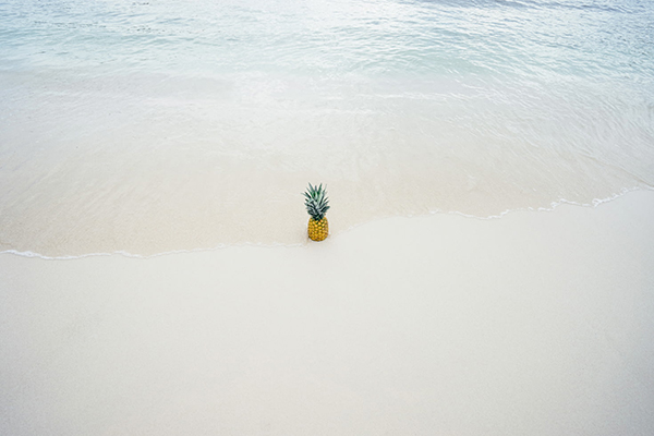 古诗词浣溪沙陆游