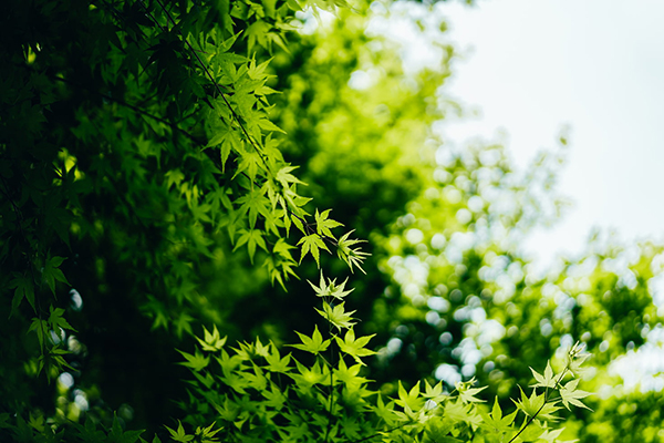 陀螺式的生活的句子