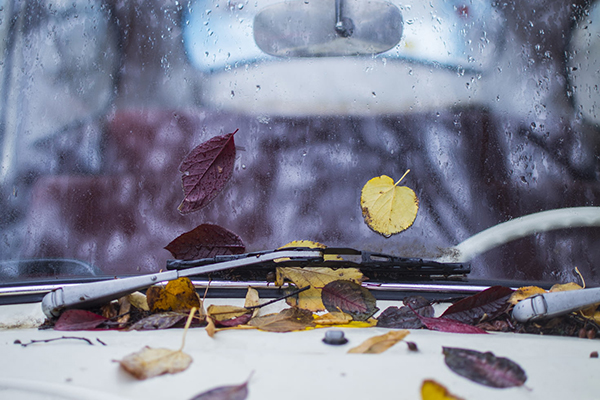 咏雨李世民如何围绕雨