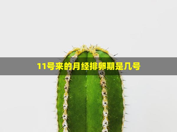 11号来的月经排卵期是几号