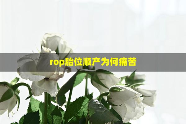 rop胎位顺产为何痛苦