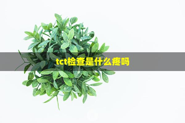 tct检查是什么疼吗