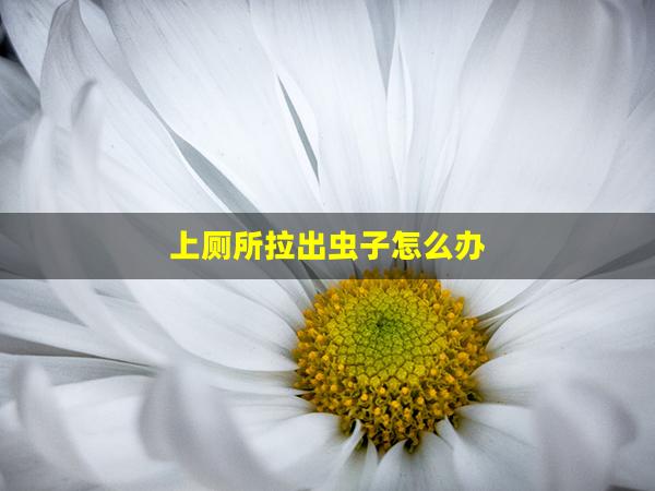 上厕所拉出虫子怎么办