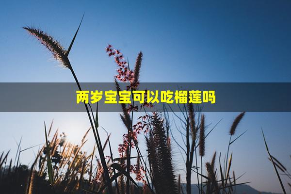 两岁宝宝可以吃榴莲吗