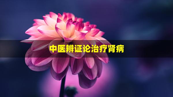 中医辨证论治疗肾病