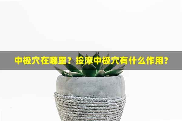 中极穴在哪里？按摩中极穴有什么作用？