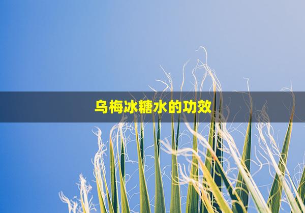 乌梅冰糖水的功效