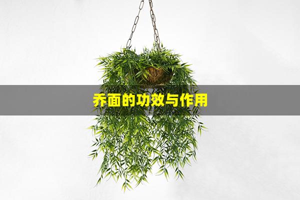 乔面的功效与作用