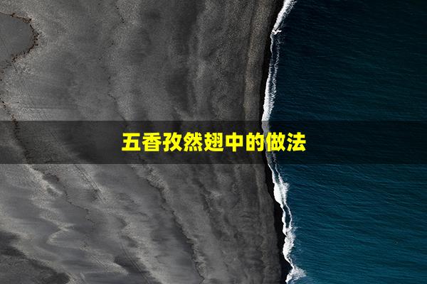 五香孜然翅中的做法