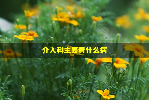 介入科主要看什么病