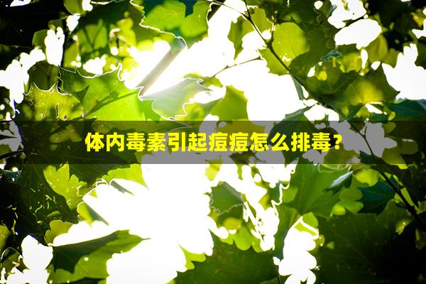 体内毒素引起痘痘怎么排毒？