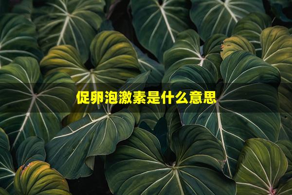 促卵泡激素是什么意思