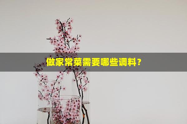 做家常菜需要哪些调料？