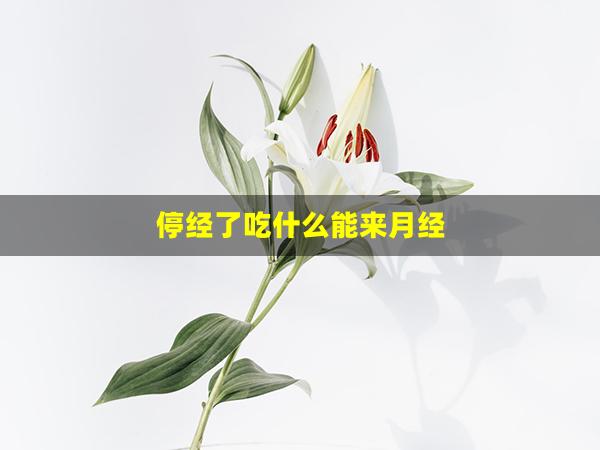 停经了吃什么能来月经