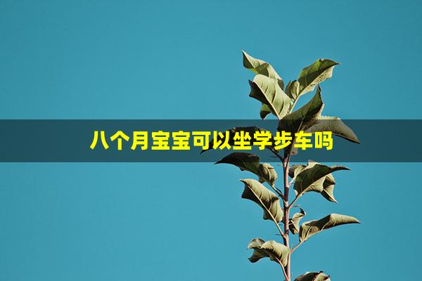 八个月宝宝可以坐学步车吗