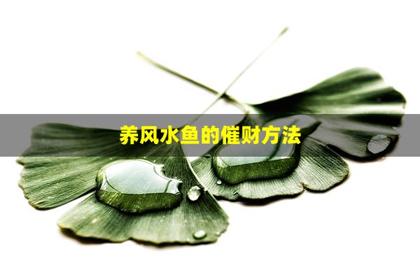 养风水鱼的催财方法