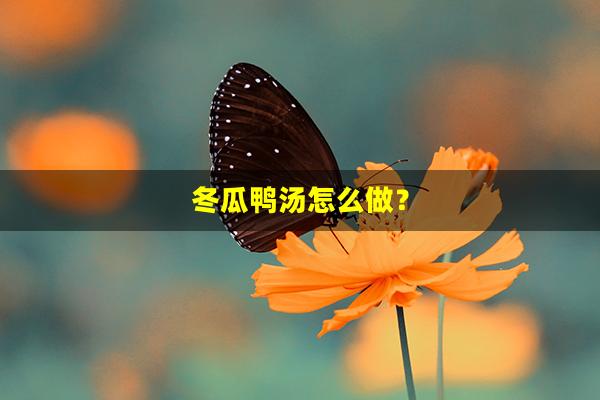 冬瓜鸭汤怎么做？