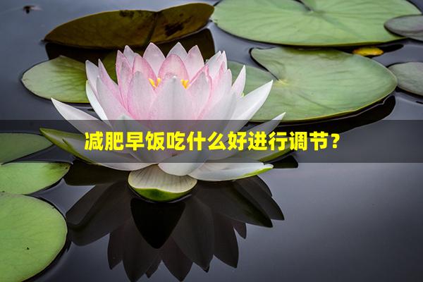 减肥早饭吃什么好进行调节？