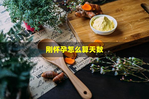 刚怀孕怎么算天数