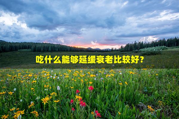 吃什么能够延缓衰老比较好？