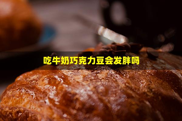 吃牛奶巧克力豆会发胖吗