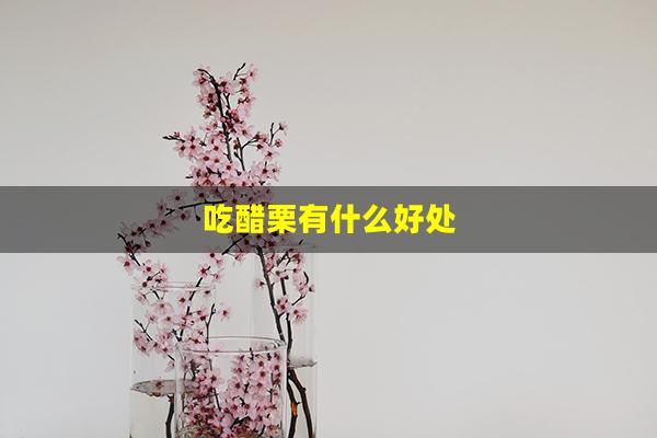 吃醋栗有什么好处