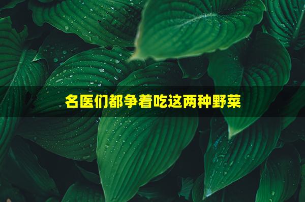 名医们都争着吃这两种野菜