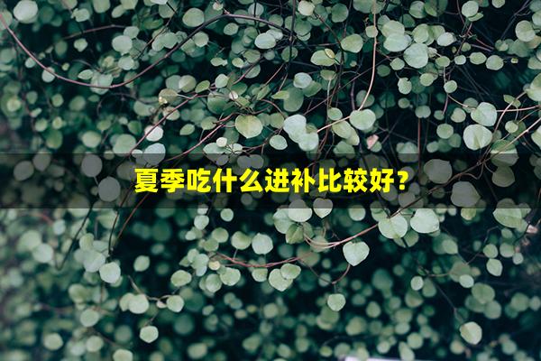 夏季吃什么进补比较好？