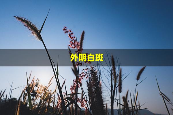 外阴白斑