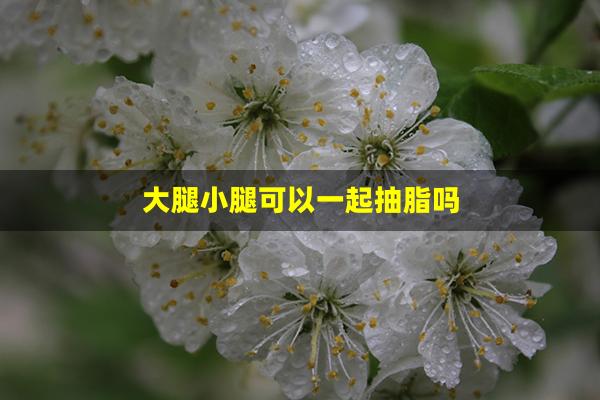 大腿小腿可以一起抽脂吗