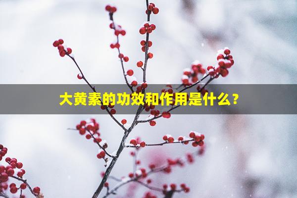 大黄素的功效和作用是什么？