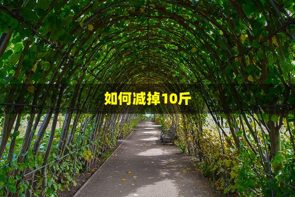 如何减掉10斤