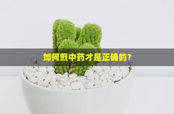 如何煎中药才是正确的？