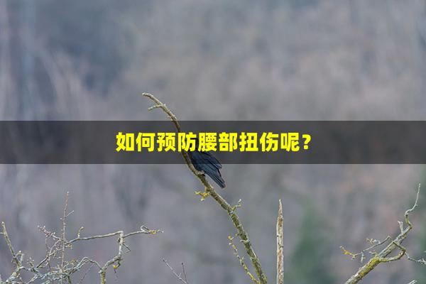 如何预防腰部扭伤呢？