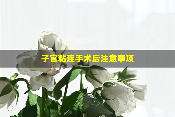 子宫粘连手术后注意事项