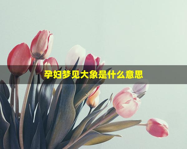 孕妇梦见大象是什么意思