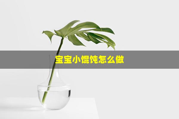 宝宝小馄饨怎么做