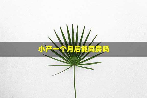 小产一个月后能同房吗