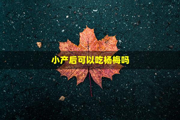 小产后可以吃杨梅吗