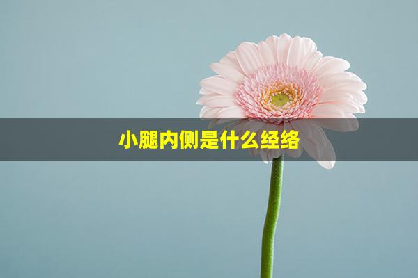 小腿内侧是什么经络