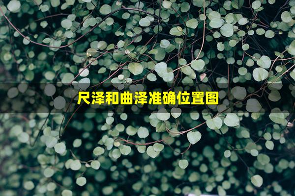 尺泽和曲泽准确位置图