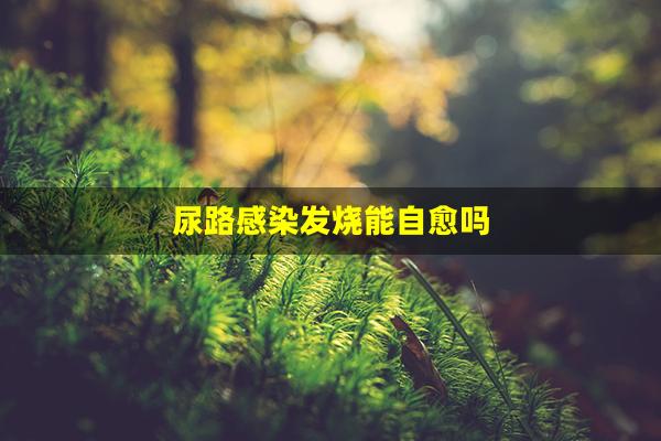 尿路感染发烧能自愈吗