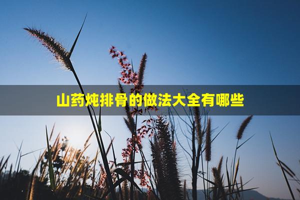 山药炖排骨的做法大全有哪些