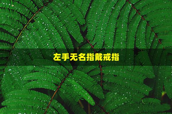 左手无名指戴戒指