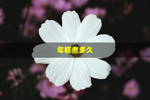 年糕煮多久