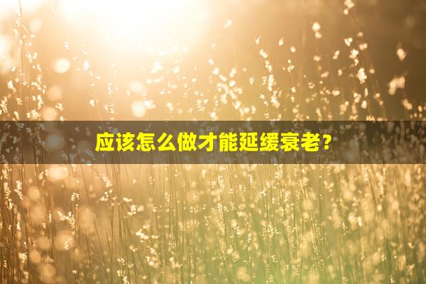 应该怎么做才能延缓衰老？