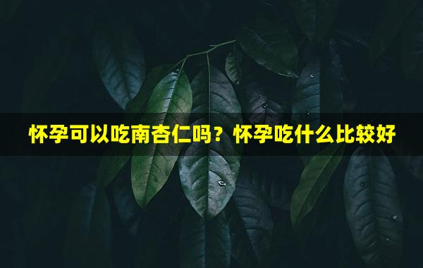 怀孕可以吃南杏仁吗？怀孕吃什么比较好