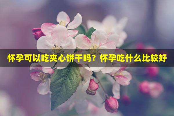 怀孕可以吃夹心饼干吗？怀孕吃什么比较好